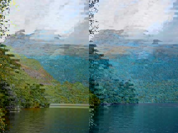 Pexels Gottapics 28352390